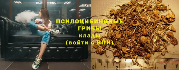 дурь Алзамай
