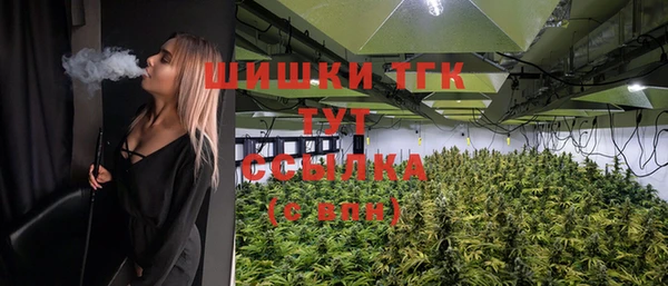 эйфоретик Абинск