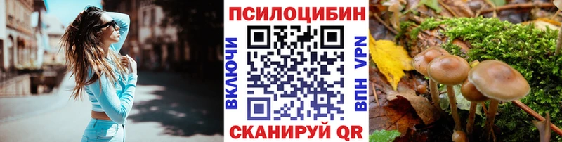 Псилоцибиновые грибы Psilocybe  где купить   Костерёво 